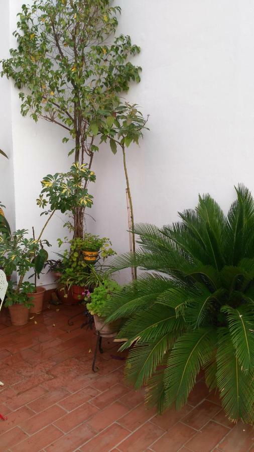 Patios Con Encanto Кордова Экстерьер фото